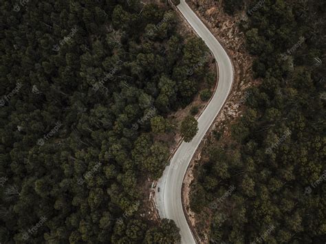 Premium Photo | Aerial view of curve road through forest landscape