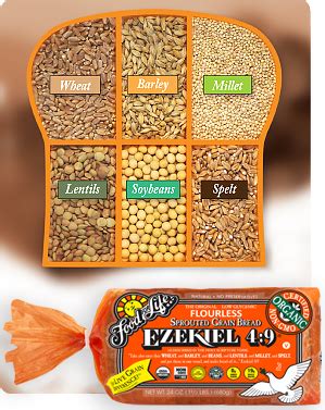 Ezekiel Bread Where To Buy | wikiHow Fun