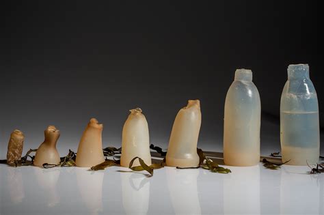 Biodegradable algae water bottles provide a green alternative to ...