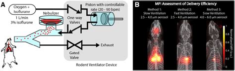 Magnetic particle imaging (MPI) is able to assess the delivery... | Download Scientific Diagram