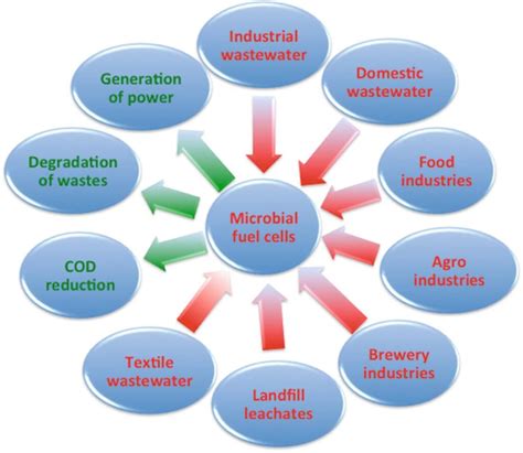 Microbial Fuel Cells - Microbiology Notes