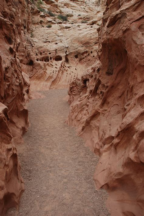 Exploring- Southeast Utah- Little Wild Horse Canyon | Sandra Bornstein