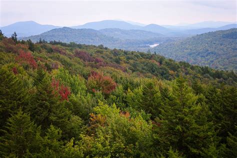 Fall is coming, Upstate NY: First foliage report released for 2023 ...