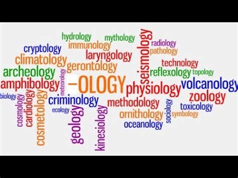 OLOGY Words - Different Types Of Studies & Their Names. - YouTube