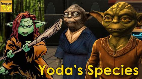 What do we know about YODA'S SPECIES? - YouTube