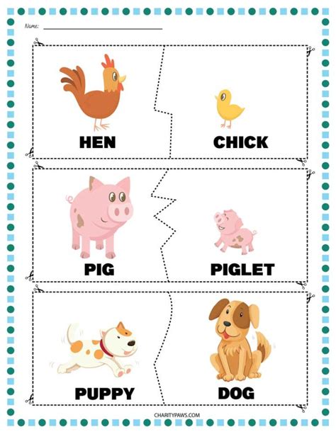 Animals And Their Babies Worksheets {Free 10 Page PDF}