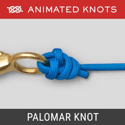 Palomar Knot | Fishing Knots | Animated Knots by Grog