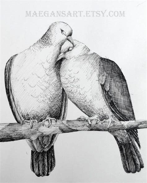 Love Birds Pencil Sketch Images - pencildrawing2019