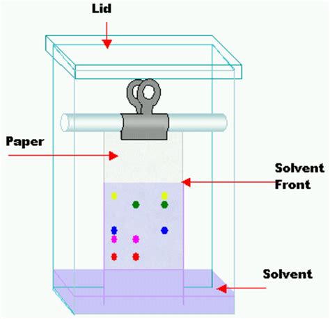 Gradient Chromatography Method at Colleen Kremer blog