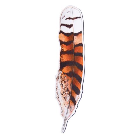 Kookaburra feather Sticker - Planet Corroboree