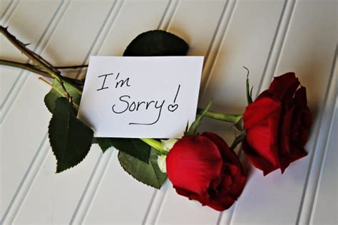 The Best Ways To Say ‘I’m Sorry’ - Best Flowers Delivery