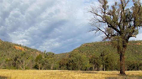 The Grenfell Region - Grenfell Hall Bed & Breakfast - Grenfell NSW