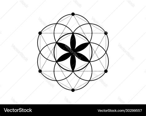 Seed life tattoo sacred geometry mystic mandala Vector Image