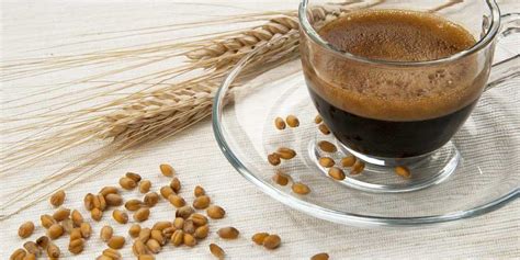 Barley coffee is good: science says - becoffee