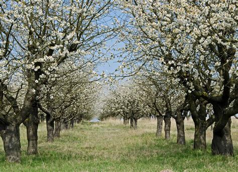 Spring in Poland: weather in March, April, May & June