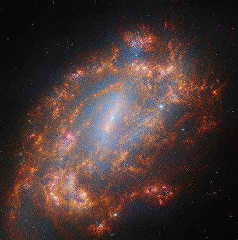 A Galactic Treasury: NGC 1559 | Here’s your golden ticket to… | Flickr