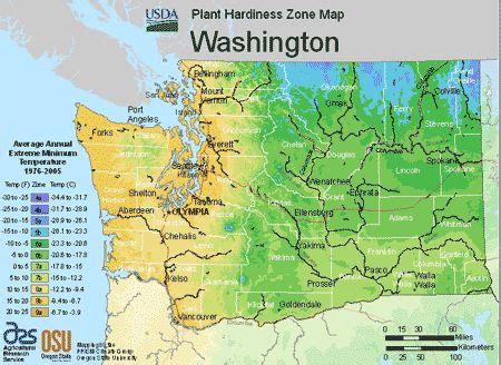 Washington Climate Zones USDA Map For Plant Hardiness | Plant hardiness ...