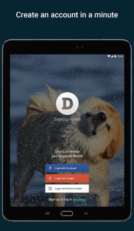 Dogecoin Wallet - Simple, easy to use and lightweight wallets for DOGE