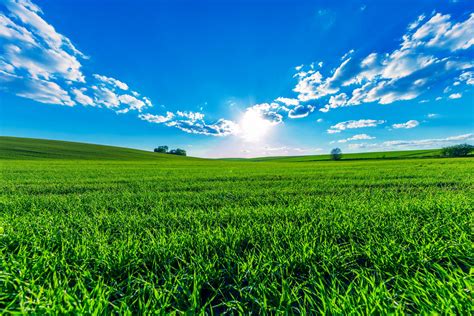 Download Landscape Sun Cloud Sky Grass Nature Field 4k Ultra HD Wallpaper