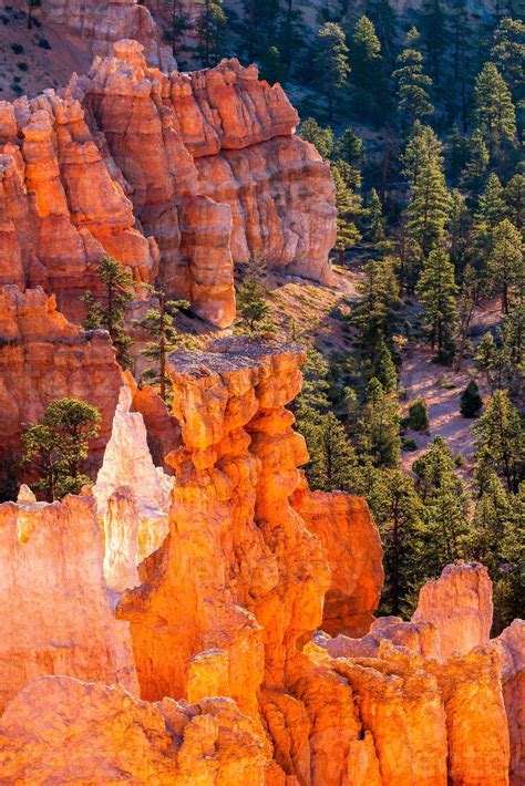 Glowing Hoodoos in Bryce Canyon 6616130 Stock Photo at Vecteezy