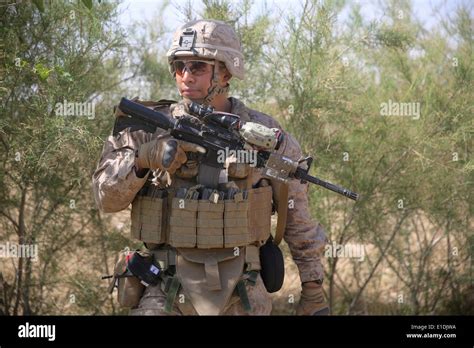 US Marines with the 1st Battalion, 7th Marine Regiment, patrol during Stock Photo: 69756326 - Alamy