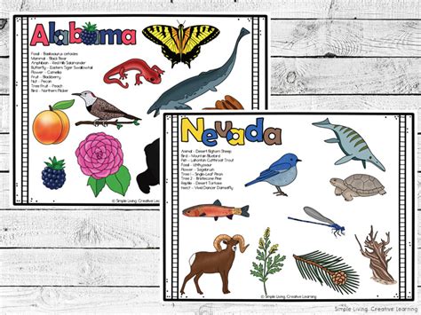 US State Symbols Activity Mats - Simple Living. Creative Learning