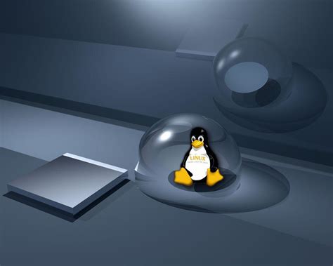 Funny Linux Wallpapers - Top Free Funny Linux Backgrounds - WallpaperAccess