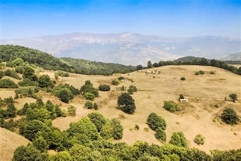 Hiking in Dilijan National Park: Photo Gallery