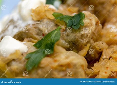 Sarmale with sour cream stock photo. Image of meat, dolma - 259292986