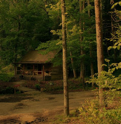 Forest Cabin Photograph by Nina Fosdick