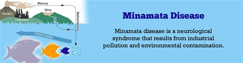 Minamata Disease - Causes, Symptoms, Signs, Diagnosis, Treatment