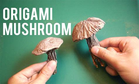 Origami Mushroom. This video shows you how to make an origami mushroom, designed by Vincent ...