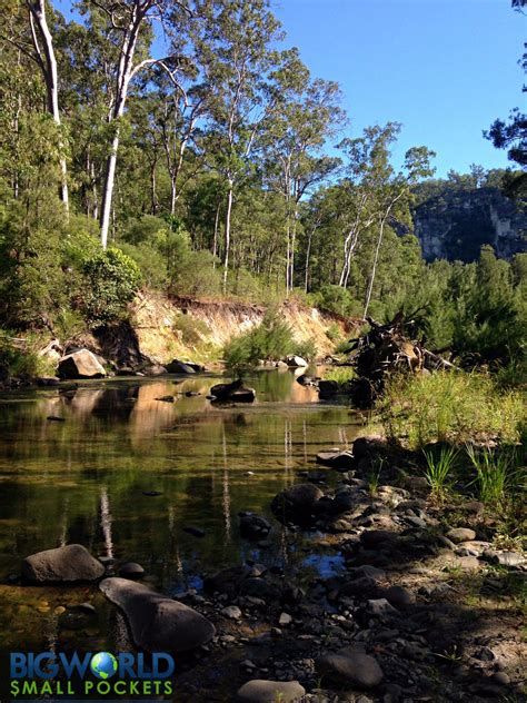 Ultimate Guide to Carnarvon Gorge National Park - Big World Small Pockets