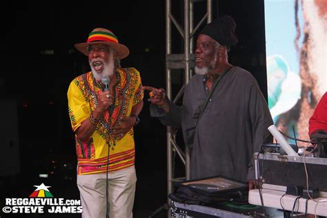 Photos: International Reggae Day - Kingston Festival in Jamaica 7/1/2017