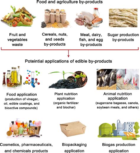 Applications for food and agricultural by-products. Among the food... | Download Scientific Diagram