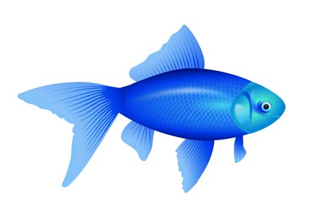 Peixe Azul Png Peixe Peixes Dos Desenhos Animados Oceano Png Imagem | Porn Sex Picture