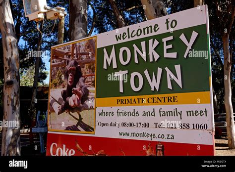 Monkey Town Primate Centre , Somerset West, Western Cape Province ...