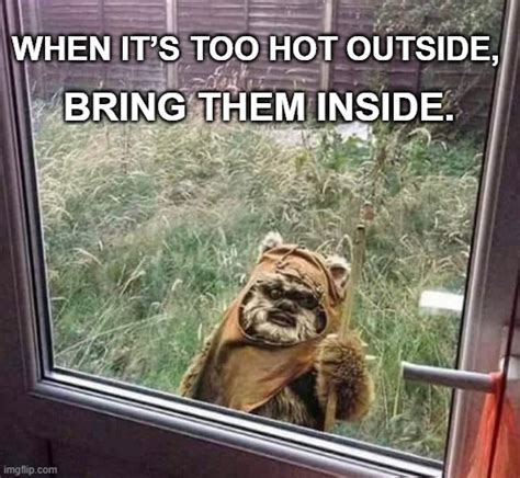 Too hot for Ewoks - Imgflip