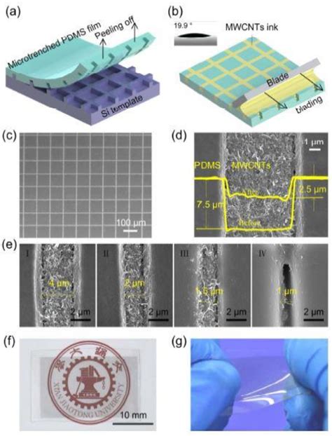 Sensors | Free Full-Text | Multi-Walled Carbon Nanotubes-Based Sensors for Strain Sensing ...