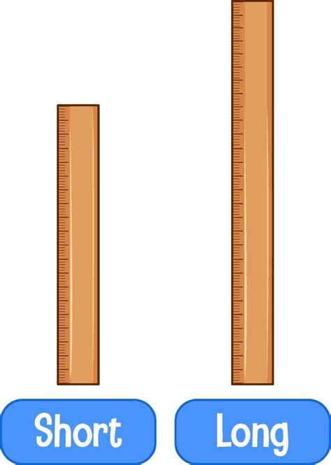 adjetivos opuestos palabras con regla corta y regla larga 1928546 Vector en Vecteezy