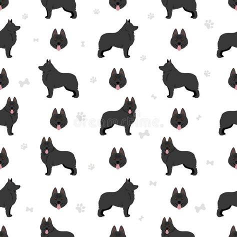 Schipperke Seamless Pattern. Different Poses, Coat Colors Set Stock ...