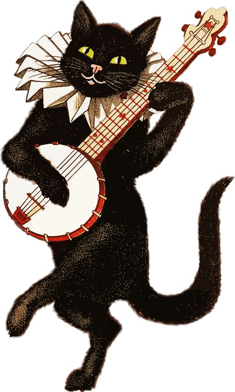 Gato Clásico Jugando El Banjo PNG transparente - StickPNG