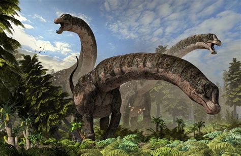 Dreadnoughtus Dinosaur - epifasr