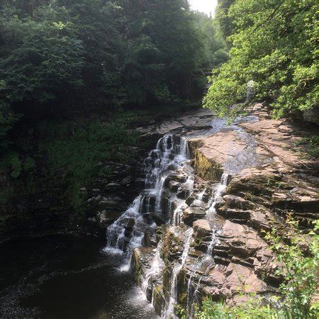 Falls of Clyde (Lanark) - 2021 All You Need to Know Before You Go (with Photos) - Lanark ...