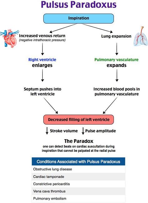 pulsus paradoxus | Cardiology nursing, Icu nursing, Cardiac nursing