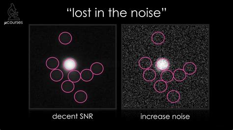 Signal to Noise Ratio - YouTube