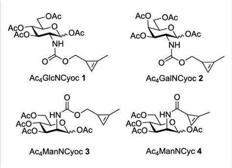 Figure 1 from Expanding the scope of cyclopropene reporters for the detection of metabolically ...