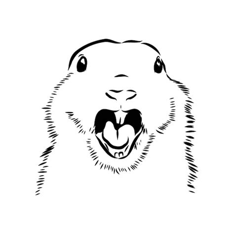 Premium Vector | Groundhog marmot sketch vector illustration marmot ...