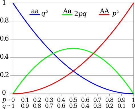 Genotype Frequency Vs Allele Frequency