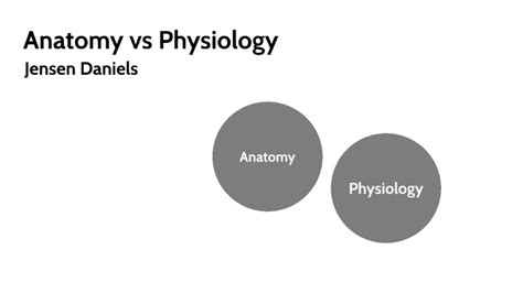 Anatomy vs physiology by Jensen Daniels on Prezi